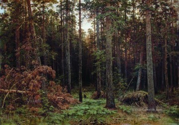 Ivan Ivanovich Shishkin Werke - Pinienwald 1885 1 klassische Landschaft Ivan Ivanovich